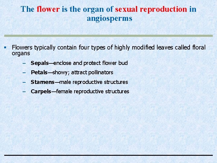 The flower is the organ of sexual reproduction in angiosperms § Flowers typically contain