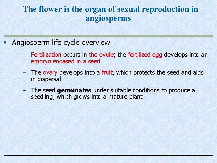 The flower is the organ of sexual reproduction in angiosperms § Angiosperm life cycle