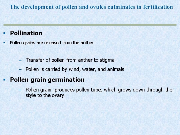 The development of pollen and ovules culminates in fertilization § Pollination § Pollen grains