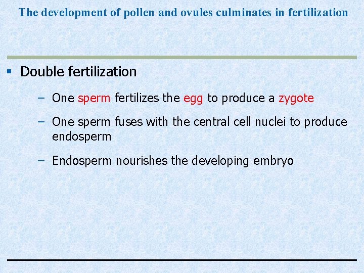 The development of pollen and ovules culminates in fertilization § Double fertilization – One