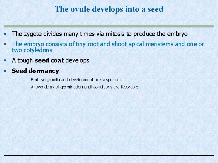 The ovule develops into a seed § The zygote divides many times via mitosis