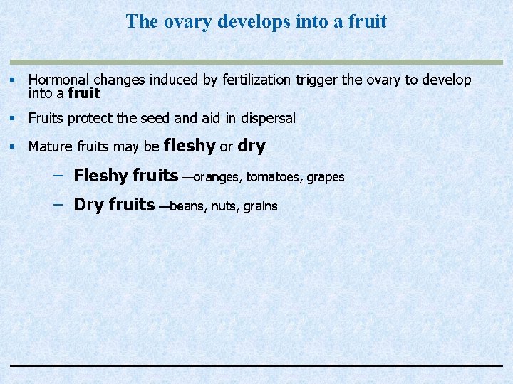 The ovary develops into a fruit § Hormonal changes induced by fertilization trigger the