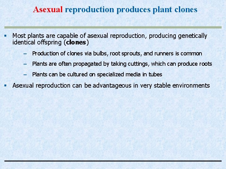 Asexual reproduction produces plant clones § Most plants are capable of asexual reproduction, producing