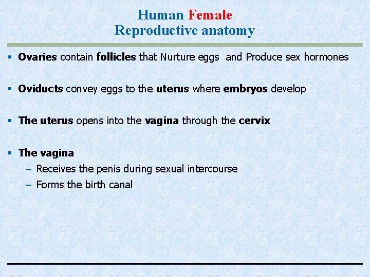 Human Female Reproductive anatomy § Ovaries contain follicles that Nurture eggs and Produce sex