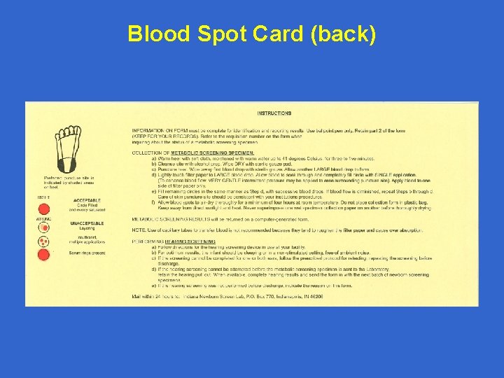 Blood Spot Card (back) 