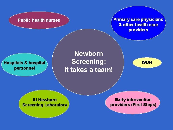 Primary care physicians & other health care providers Public health nurses Hospitals & hospital
