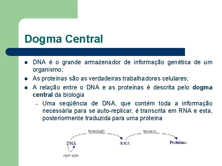 Dogma Central l DNA é o grande armazenador de informação genética de um organismo;