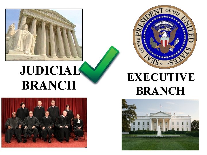 JUDICIAL BRANCH EXECUTIVE BRANCH 