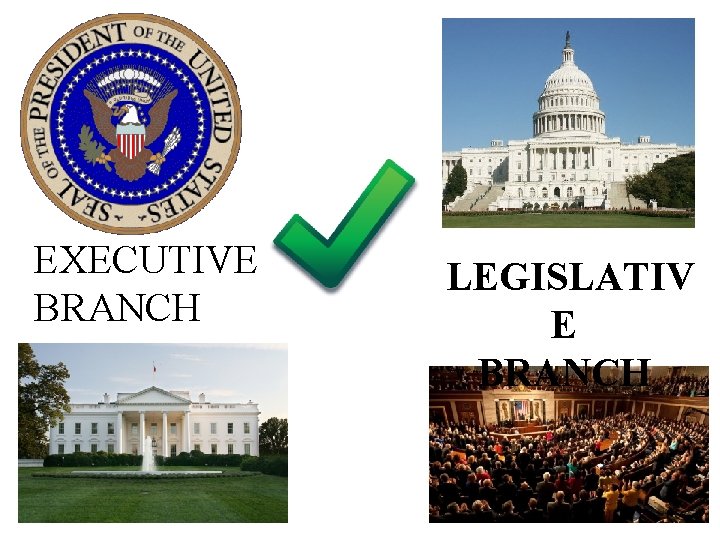 EXECUTIVE BRANCH LEGISLATIV E BRANCH 