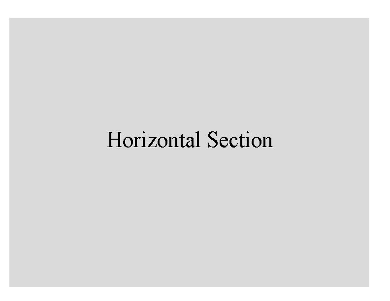 Horizontal Section 