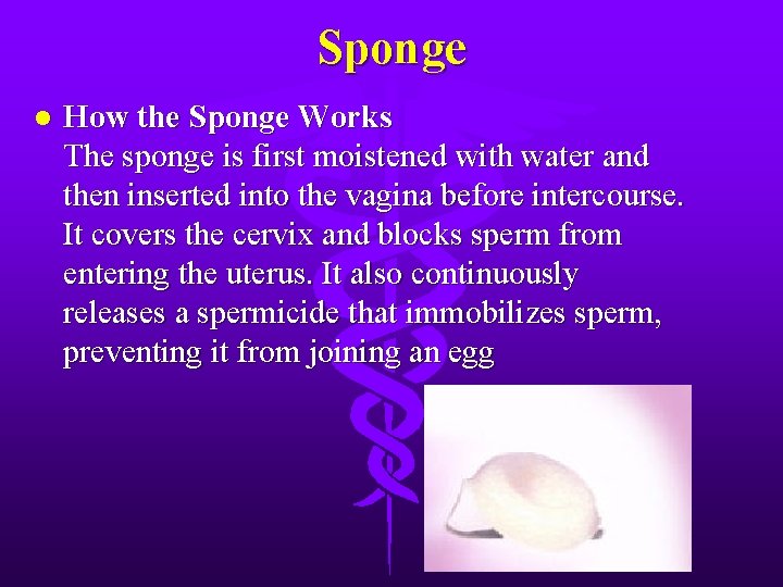 Sponge l How the Sponge Works The sponge is first moistened with water and