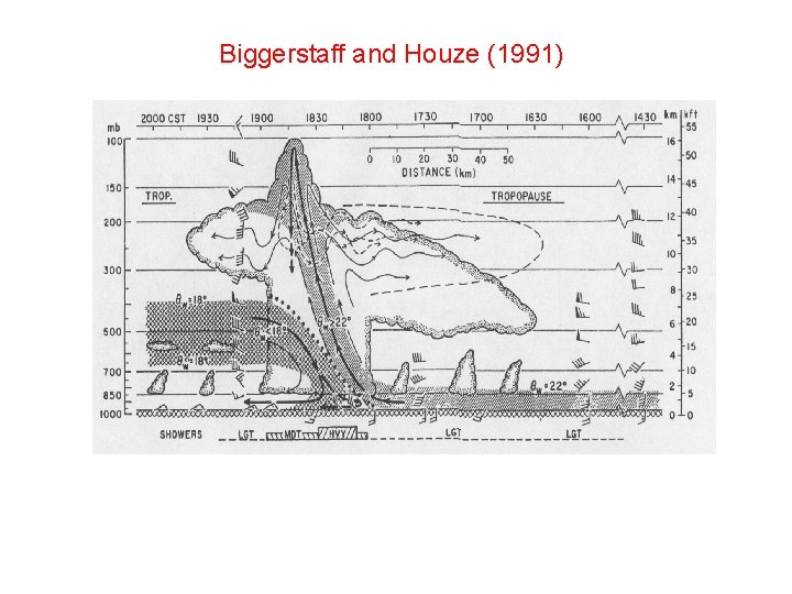 Biggerstaff and Houze (1991) 