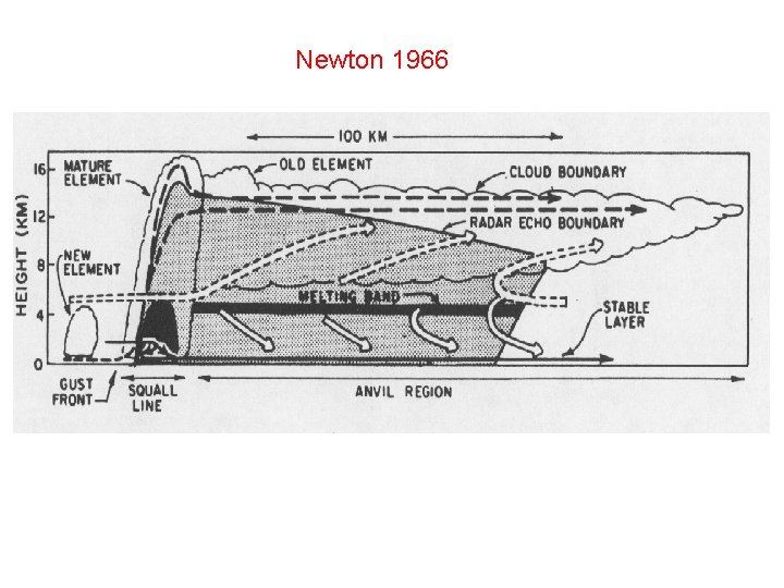 Newton 1966 