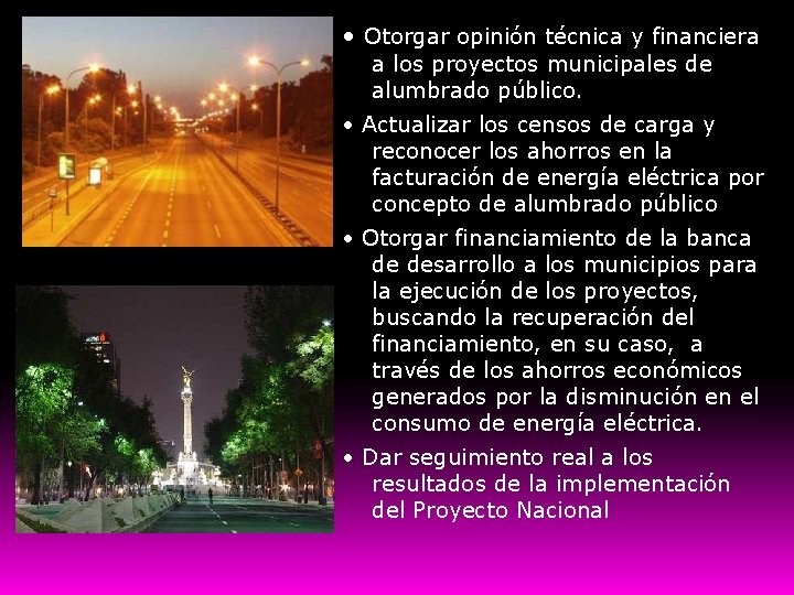  • Otorgar opinión técnica y financiera a los proyectos municipales de alumbrado público.