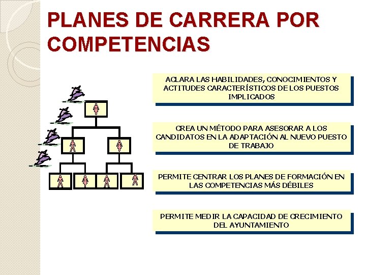 PLANES DE CARRERA POR COMPETENCIAS ACLARA LAS HABILIDADES, CONOCIMIENTOS Y ACTITUDES CARACTERÍSTICOS DE LOS