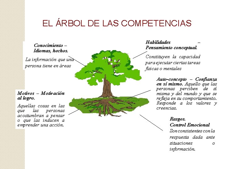 EL ÁRBOL DE LAS COMPETENCIAS Conocimiento – Idiomas, hechos La información que una persona