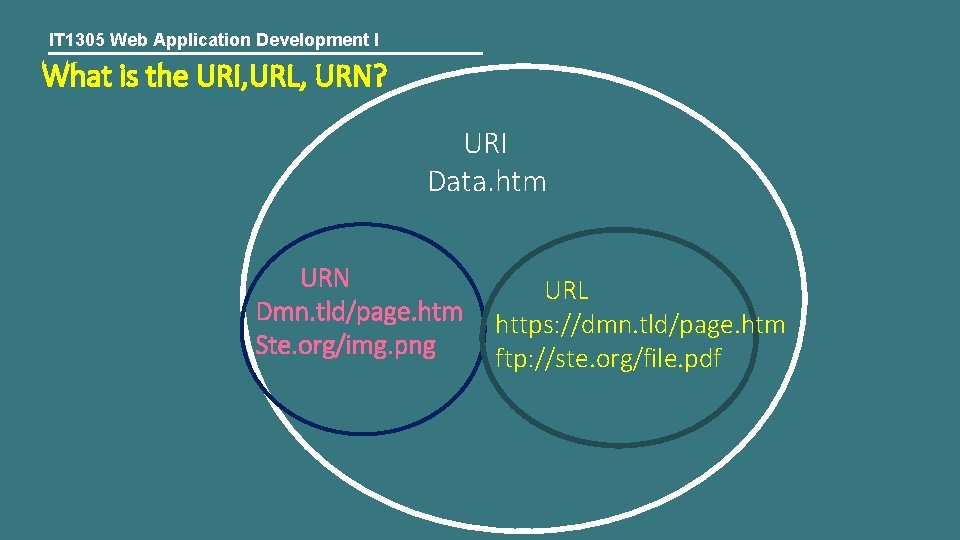 IT 1305 Web Application Development I What is the URI, URL, URN? URI Data.