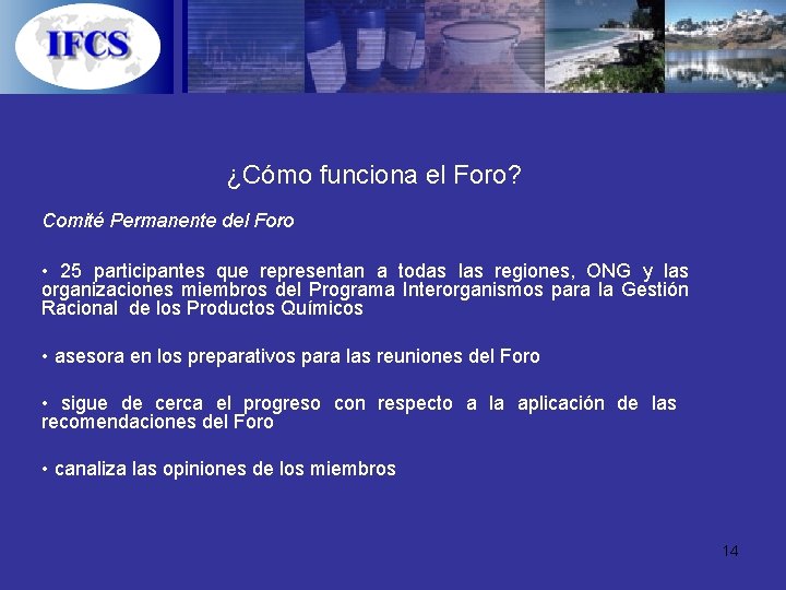 ¿Cómo funciona el Foro? Comité Permanente del Foro • 25 participantes que representan a