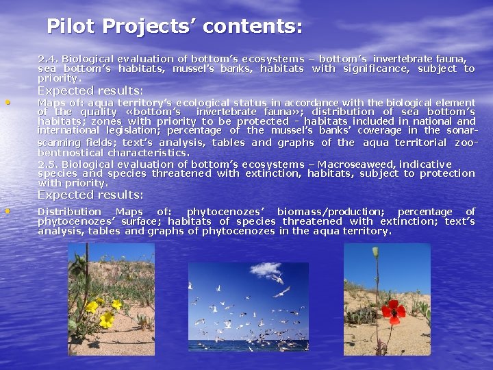 Pilot Projects’ contents: 2. 4. Biological evaluation of bottom’s ecosystems – bottom’s invertebrate fauna,