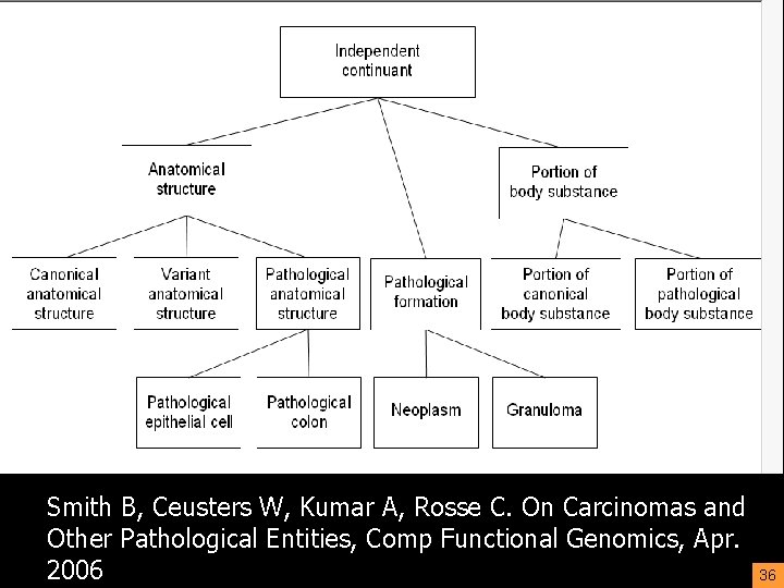 Smith B, Ceusters W, Kumar A, Rosse C. On Carcinomas and Other Pathological Entities,