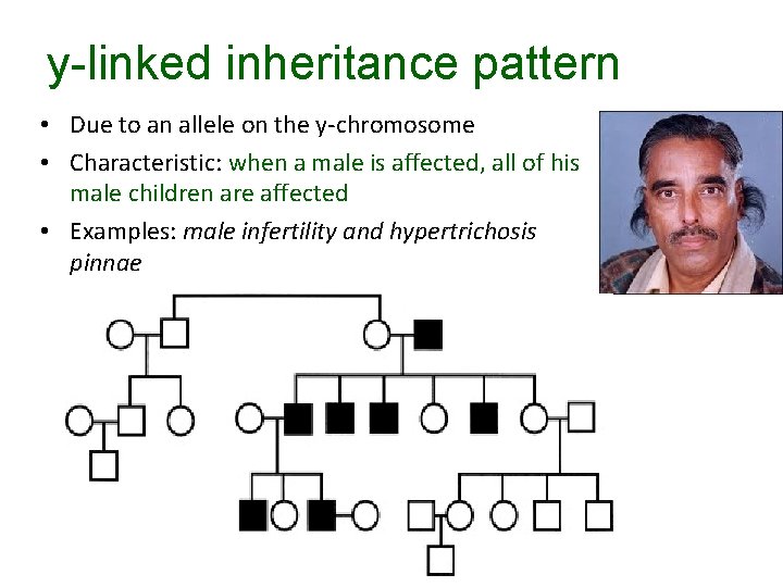 y-linked inheritance pattern • Due to an allele on the y-chromosome • Characteristic: when