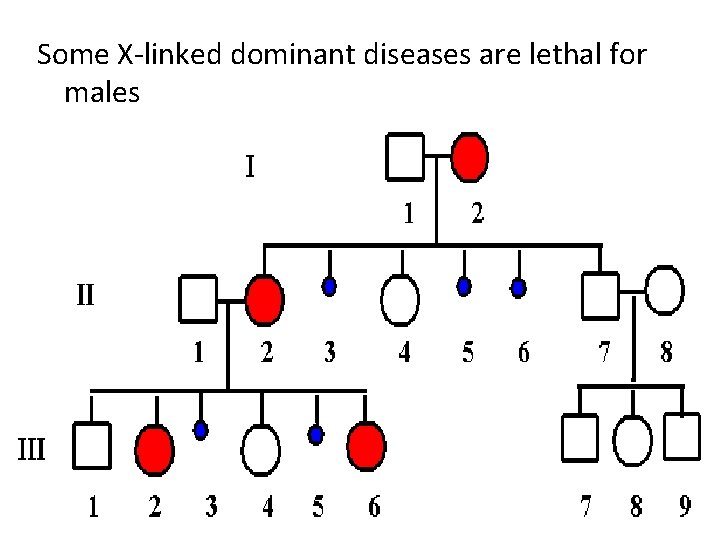 Some X-linked dominant diseases are lethal for males 