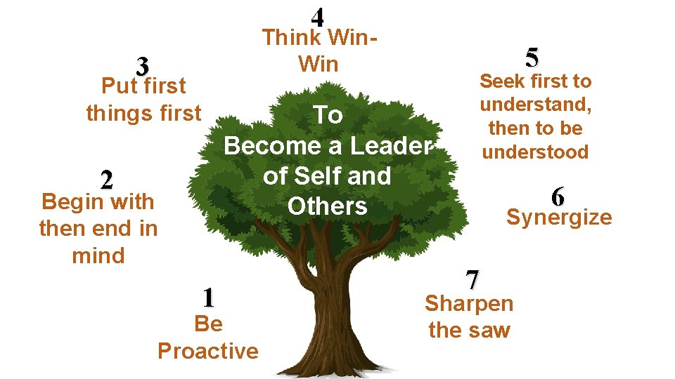 4 Think Win 3 Put first things first 5 To Become a Leader of