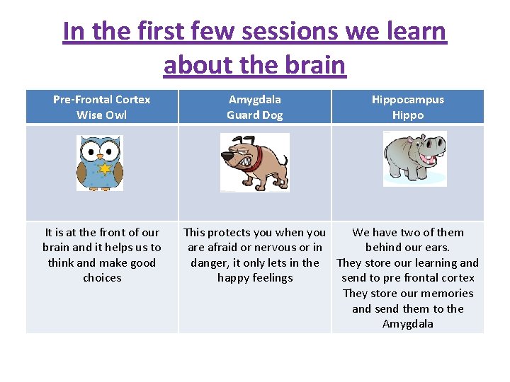 In the first few sessions we learn about the brain Pre-Frontal Cortex Wise Owl