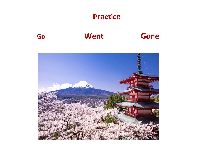 Practice Go Went Gone 