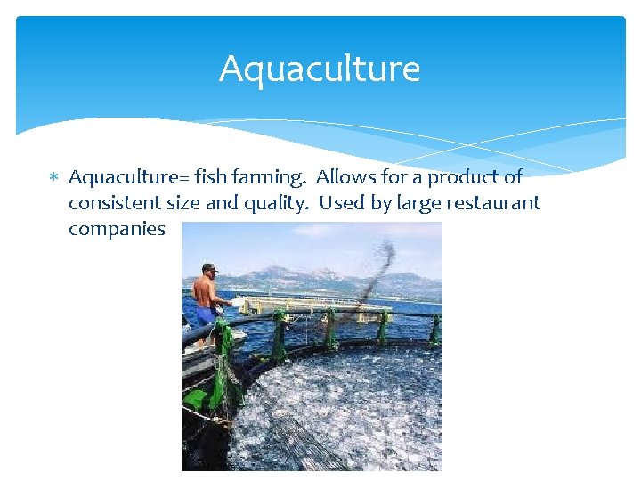 Aquaculture Aquaculture= fish farming. Allows for a product of consistent size and quality. Used