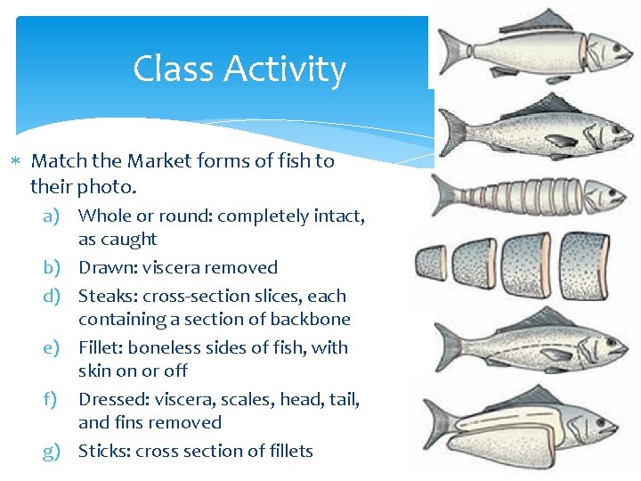Class Activity Match the Market forms of fish to their photo. a) Whole or