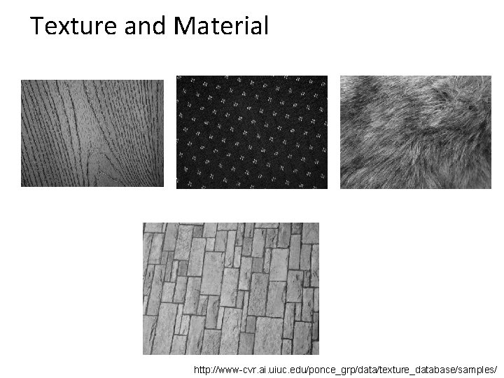 Texture and Material http: //www-cvr. ai. uiuc. edu/ponce_grp/data/texture_database/samples/ 