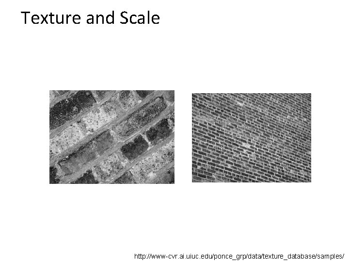 Texture and Scale http: //www-cvr. ai. uiuc. edu/ponce_grp/data/texture_database/samples/ 