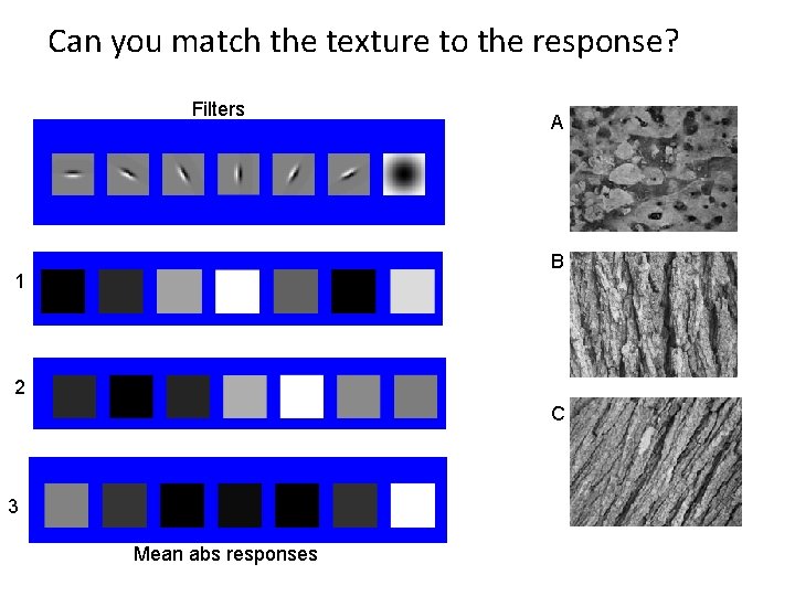 Can you match the texture to the response? Filters A B 1 2 C