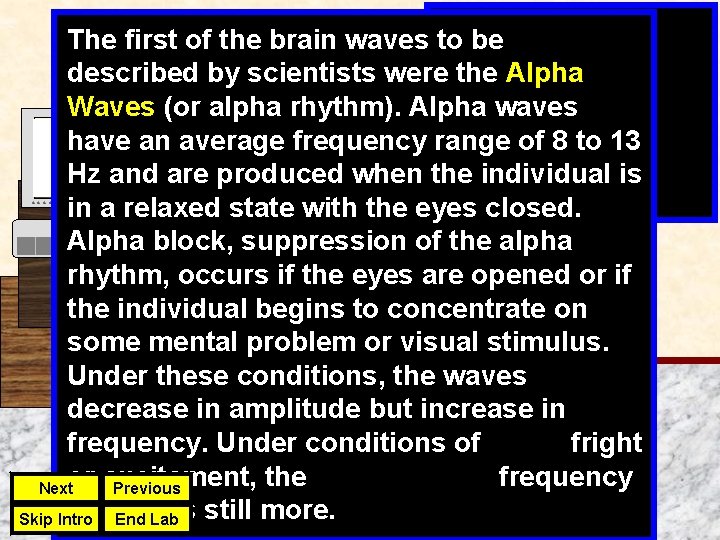 The first of the brain waves to be described by scientists were the Alpha