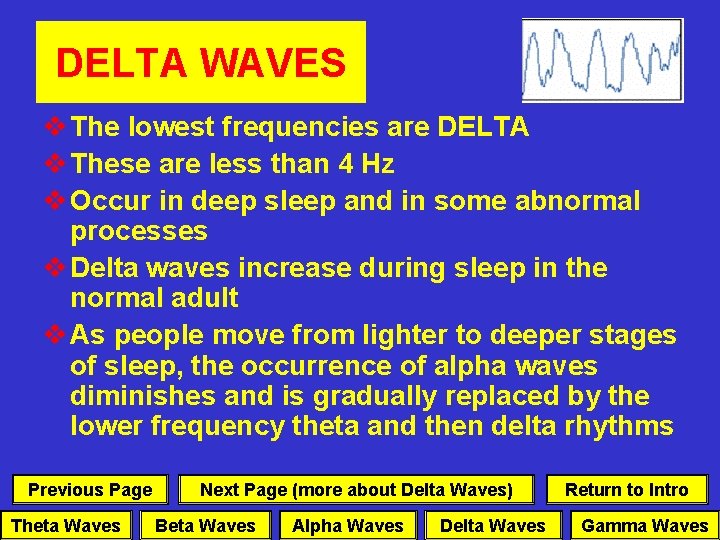 DELTA WAVES v The lowest frequencies are DELTA v These are less than 4