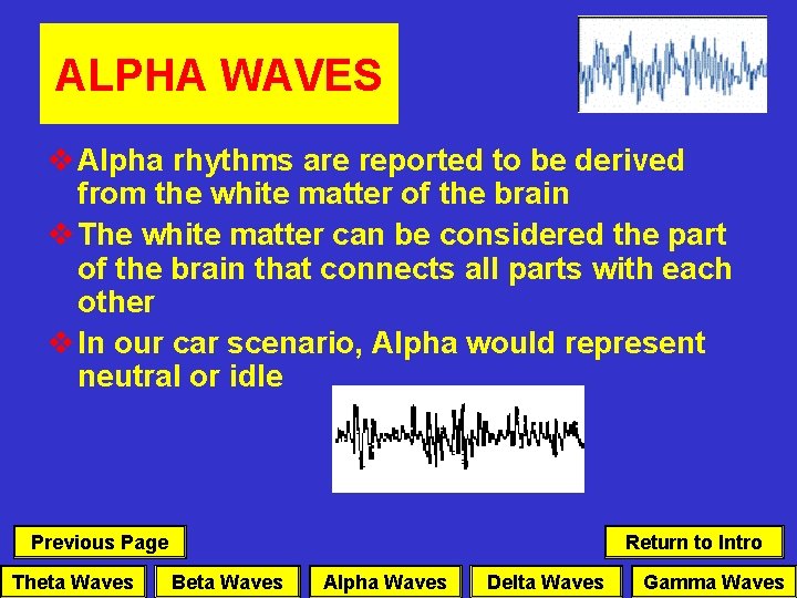 ALPHA WAVES v Alpha rhythms are reported to be derived from the white matter