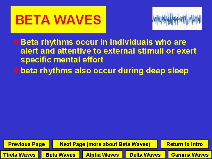 BETA WAVES v Beta rhythms occur in individuals who are alert and attentive to