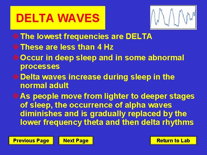 DELTA WAVES v The lowest frequencies are DELTA v These are less than 4