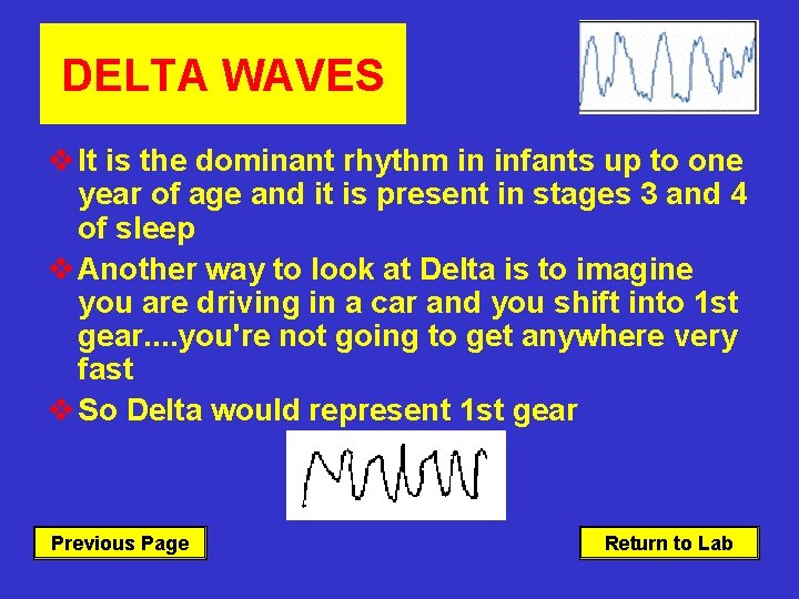 DELTA WAVES v It is the dominant rhythm in infants up to one year