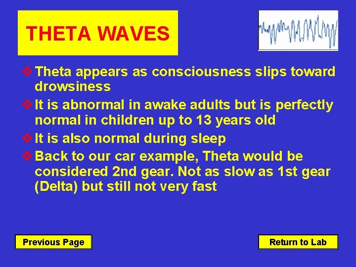 THETA WAVES v Theta appears as consciousness slips toward drowsiness v It is abnormal