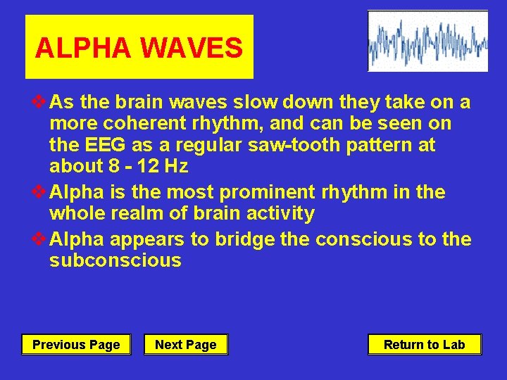 ALPHA WAVES v As the brain waves slow down they take on a more