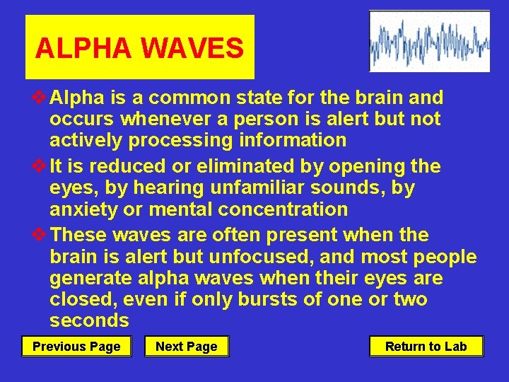 ALPHA WAVES v Alpha is a common state for the brain and occurs whenever