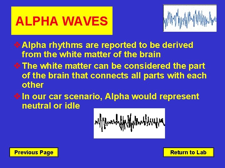 ALPHA WAVES v Alpha rhythms are reported to be derived from the white matter