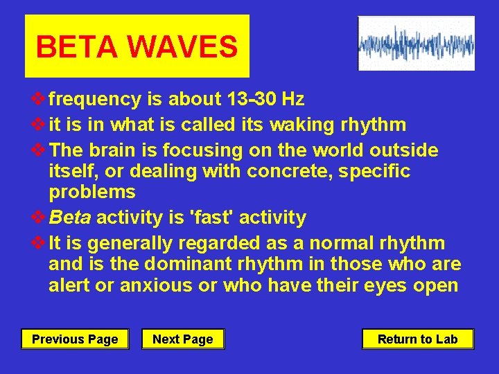 BETA WAVES v frequency is about 13 30 Hz v it is in what