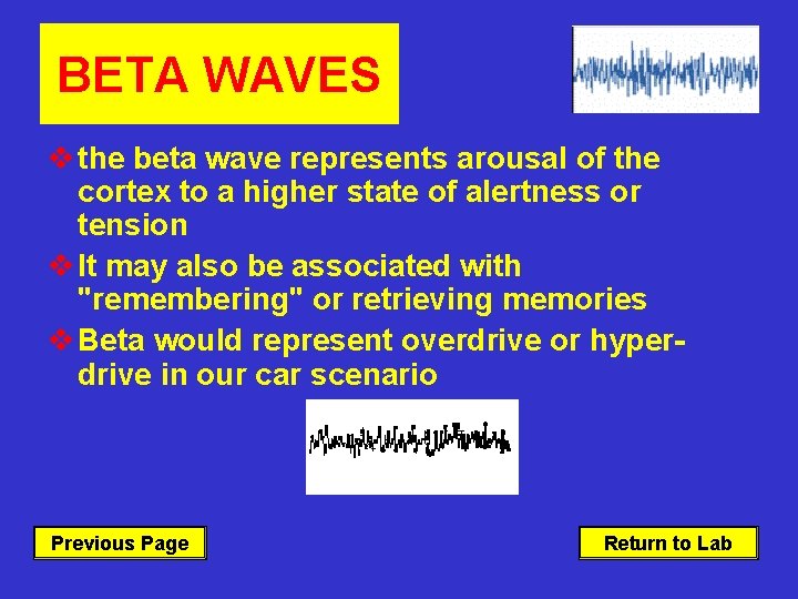 BETA WAVES v the beta wave represents arousal of the cortex to a higher