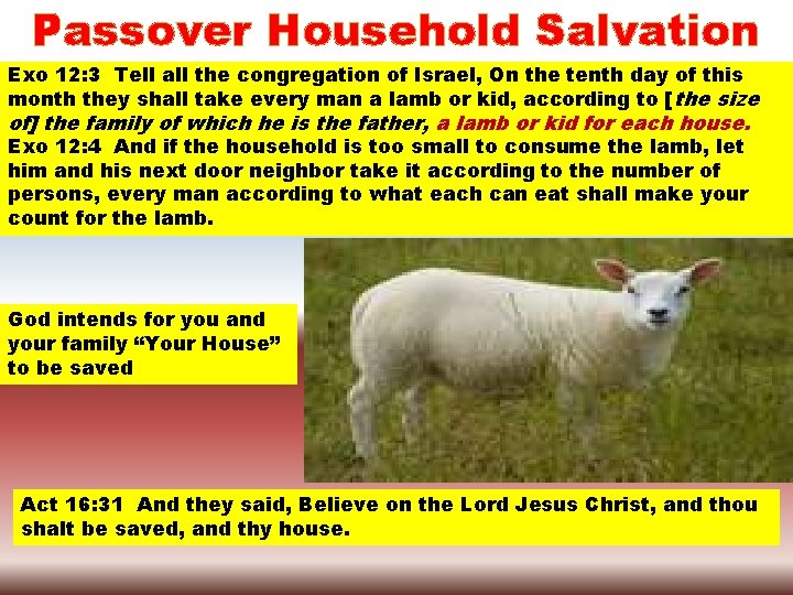 Passover Household Salvation Exo 12: 3 Tell all the congregation of Israel, On the