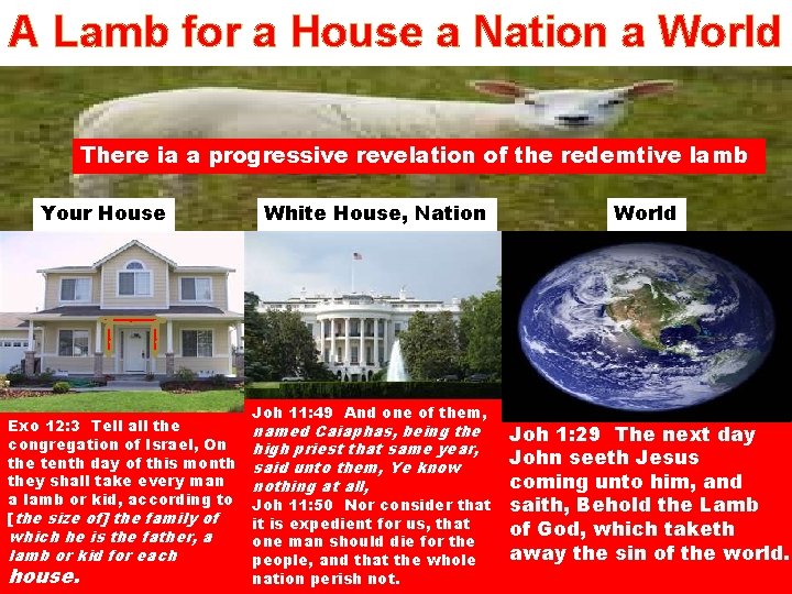 A Lamb for a House a Nation a World There ia a progressive revelation