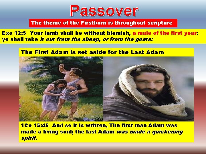 Passover The theme of the Firstborn is throughout scripture Exo 12: 5 Your lamb