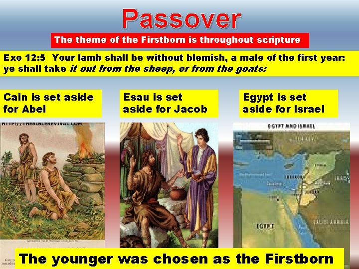 Passover The theme of the Firstborn is throughout scripture Exo 12: 5 Your lamb